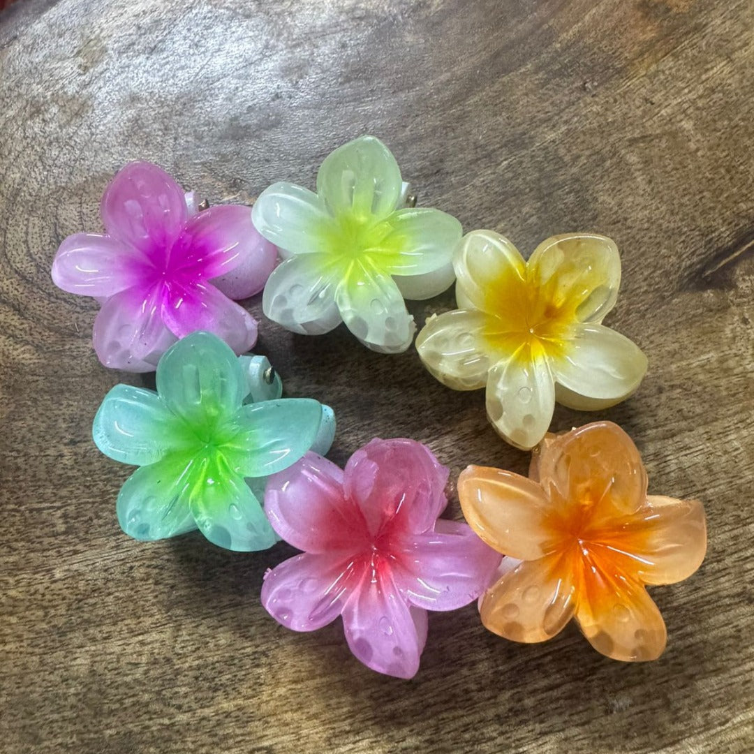 PixiePins cute hair clutchers – trendy claw clips for women and girls, perfect for all hair types