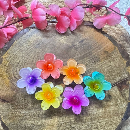 Mini multicolour floral hair clutchers set for girls 