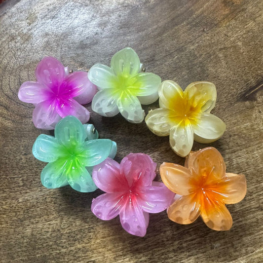 PixiePins cute hair clutchers – trendy claw clips for women and girls, perfect for all hair types
